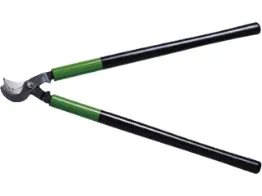 Afbeelding voor categorie Takkenscharen